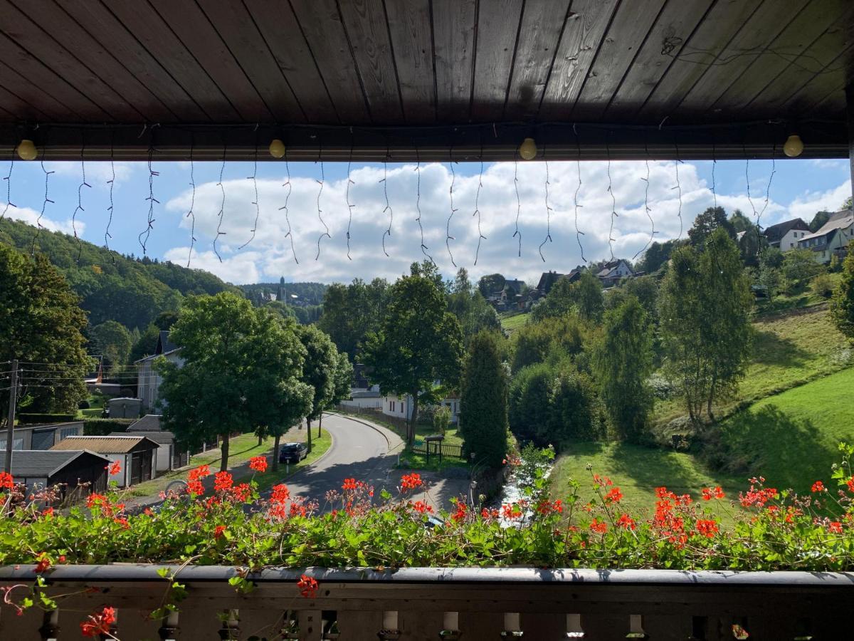 Pension Weiberwirtschaft In Pobershau 外观 照片